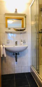 a bathroom with a sink and a shower at Pension Holzgarten in Regensburg