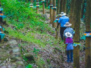入住Anantya By The Lake的客人