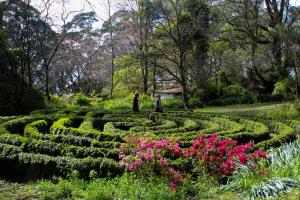 a garden with a maze of flowers in a park at Tomah Retreat - Studio RELAX with fireplace in Mount Tomah