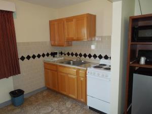 Kuchyň nebo kuchyňský kout v ubytování Monticello Motel