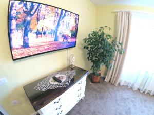 TV a/nebo společenská místnost v ubytování Apulum Gardens