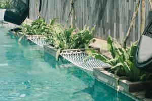 a pool with a bunch of plants growing out of it at Lloyd's Inn Bali in Seminyak