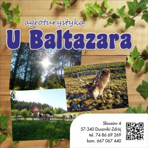 Fotografia z galérie ubytovania Agroturystyka U Baltazara v destinácii Duszniki-Zdrój