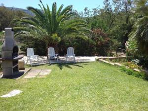 two chairs sitting in a yard with a palm tree at Graziosa Villetta di Naregno a 400 mt dal mare, bel giardino, posto auto e aria condizionata in Capoliveri