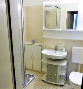 a bathroom with a sink and a shower and a toilet at Frische Brise 01.03 in Cuxhaven