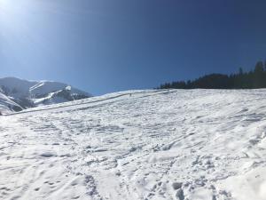 Das Hillside Maria Alm Hintermoos v zime