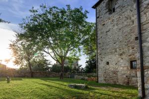 Garður fyrir utan Torre nel Chianti