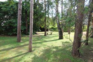 リニャーノ・サッビアドーロにあるVilla Bertoliの草の中のベンチと木々のある公園