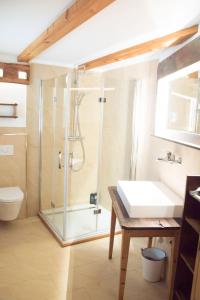 a bathroom with a shower and a sink at Gesindehaus in Diemlern