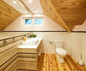 un bagno con lavandino e WC di Domki Letniskowe Jerutki a Świętajno Altre 23 foto
