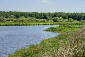 Photo de la galerie de l'établissement Villa Tymotka, à Lublin
