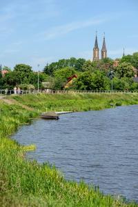 Photo de la galerie de l'établissement Villa Tymotka, à Lublin 4 autres photos
