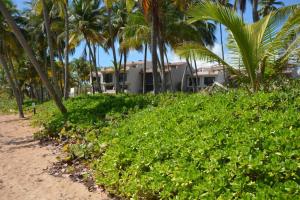 una casa en la playa con palmeras en Crescent Cove 87 at Palmas, en Humacao