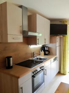 a kitchen with a sink and a stove top oven at Apartment Santnerhof in Virgen