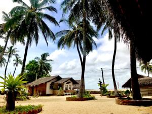 Zahrada ubytování Surfpoint Sri Lanka Kite Village