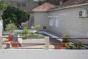 ペーゾ・ダ・レーグアにあるVivenda Branca Martinhoの鉢植えの中庭と柵