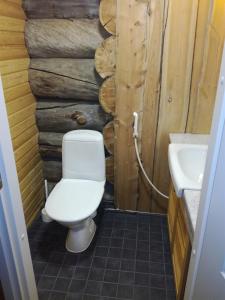 a bathroom with a toilet and a sink at Northern Lights in Levi