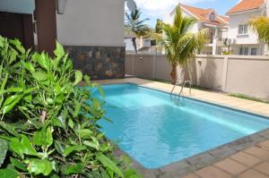 a large blue swimming pool in a yard at Les Lauriers in Flic-en-Flac