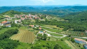 Príroda v okolí vily