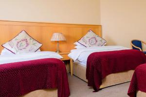 Tempat tidur dalam kamar di Dingle Bay Hotel