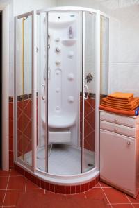 a shower with a glass enclosure in a bathroom at Modrin Apartments in Kamnik