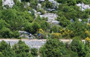 Fotografia z galérie ubytovania Villa Caelum v destinácii Grabovac