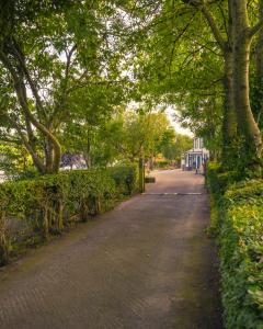 une rue bordée d'arbres dans une ville avec un trottoir dans l'établissement Riverside Cottage, à Carrickfergus