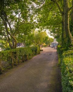 a tree lined street in a town with a sidewalk at Riverside Cottage in Carrickfergus