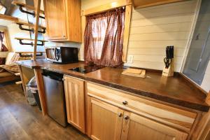 Tiny House Leadville Colorado的厨房或小厨房