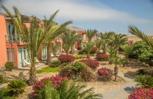 Chicama Boutique Hotel & Spa في بويرتو شيكاما: حديقة فيها نخيل وزهور امام مبنى