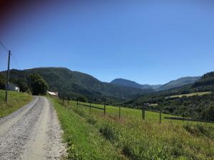ValsøybotnLandlig idyll med fjordutsikt的田野中的一条土路，背景是群山