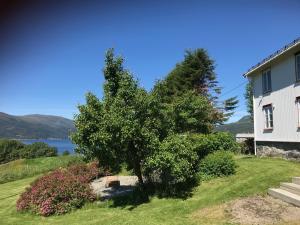 un árbol en un patio al lado de una casa en Rodal Lodge, en Valsøybotn