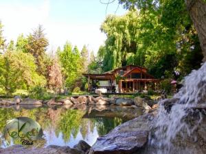 PaineEkoClub的坐在带瀑布池塘旁的房子