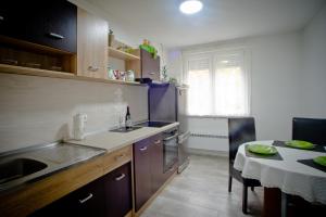 Kuchyň nebo kuchyňský kout v ubytování Park Apartman + 13 fotografií