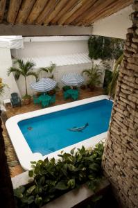 a swimming pool in a patio with chairs and plants at Hotel Antillano in Cancún