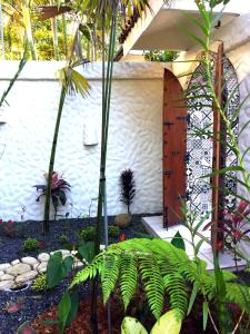 Giardino di Villas las Palmas