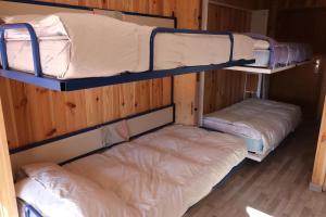 シエラネバダにあるEdificio Ginebraの木製の壁の客室で、二段ベッド2組が備わります。