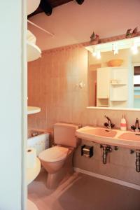 ein Badezimmer mit einem WC, einem Waschbecken und einem Spiegel in der Unterkunft Rustico in Miglieglia