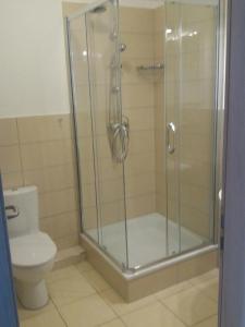 ソスノフカにあるAgroturystyka u Baranaのバスルーム(シャワー、トイレ付)