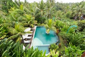 an overhead view of a swimming pool in a jungle at Alamdini Resort Ubud in Ubud