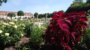 einen Blumengarten mit einem Gebäude im Hintergrund in der Unterkunft Der Platengarten in Ansbach