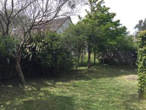 un patio con árboles y arbustos y una casa en Lambae, en Barra de Valizas