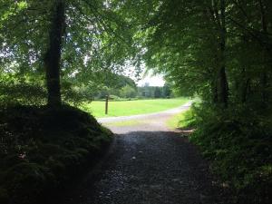 Paesaggio naturale nelle vicinanze dell'appartamento