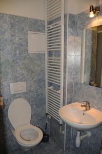 フラデツ・クラーロヴェーにあるPenzion Pupendoのバスルーム(トイレ、洗面台付)