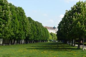 Ein Garten an der Unterkunft Studio-Apartment Augarten