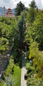 widok na ogród z drzewami i krzakami w obiekcie Villa Themistokli w mieście Korcza