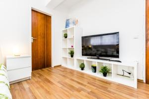 TV/Unterhaltungsangebot in der Unterkunft Workers Apartment am Wiener Platz