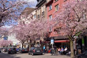 Gallery image of Griffn Properties Flora in Essen