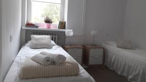 Posteľ alebo postele v izbe v ubytovaní Ogrodowa Apartments