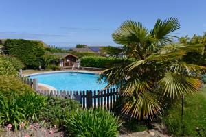 uma piscina com uma cerca e uma palmeira em Fairways em Eastbourne